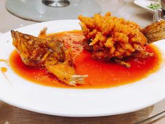 松鼠桂鱼-食神酒店(长虹路店)