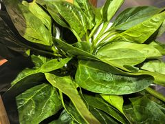 -东镇老火锅(城阳瑞阳路店)