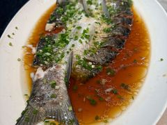 -全聚德(蓝山店)