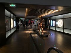 -成都百丽宫影城(LUXE太古里店)