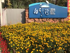 -白鹭湾湿地公园