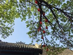 -张学良旧居陈列馆