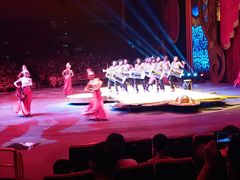 -珠海横琴长隆《卡卡虎奇遇记》