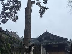 -都江堰普照寺