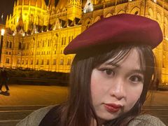 -多瑙河游船