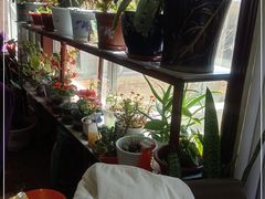 -北京龙庆四季香农家饭庄·灶台鱼·碳烤虹鳟鱼(龙庆峡店)