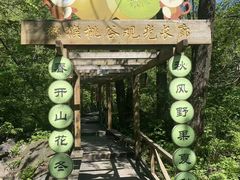 -大岭沟猕猴桃谷风景区