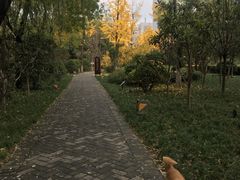 -唐城墙遗址公园