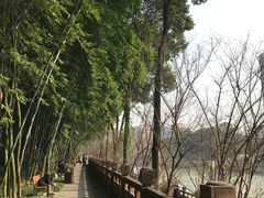 -望江楼公园