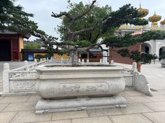 -上海东林寺(金山区)