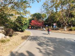 -南山风景名胜区