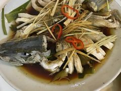 -煲来饱去冷水鱼