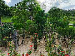 -东莞植物园