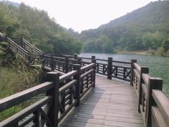 -白马涧龙池景区