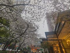 -玛格萝妮比萨屋(四平店)
