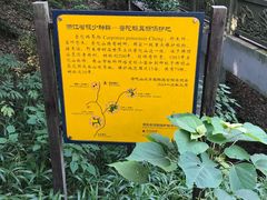 -普陀山风景区-佛顶山