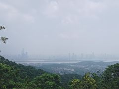 -岳麓山风景名胜区