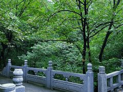 -佛慧山