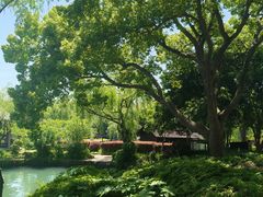 -无锡蠡湖国家湿地公园-蠡园
