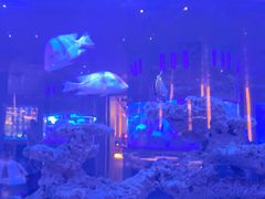 -上和臻品中国菜(花园街店)