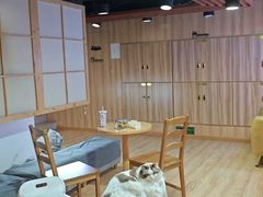 -白兔子密室(长寿路店)