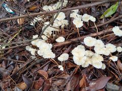 -西涌国际滨海旅游区