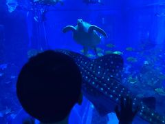 -成都浩海立方海洋公园