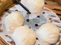 金苑虾饺皇-金苑海鲜酒家(新港中路店)