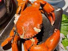 -海煮叹鲜·粥底火锅·港式海鲜打边炉(赛银国际广场店)