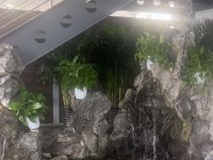 -上海德星奔驰(江杨南路店)