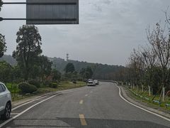 -铁山坪森林公园