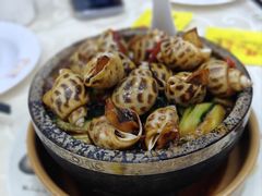 -凤城礼记鱼翅海鲜酒家(新马路总店)