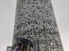 -东寨港红树林旅游区