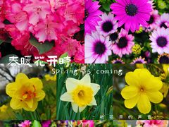 -苏州上方山国家森林公园