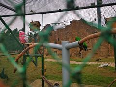 -西霞口神雕山野生动物世界
