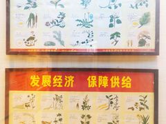 -广东中医药博物馆