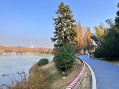 -宜兴龙背山森林公园