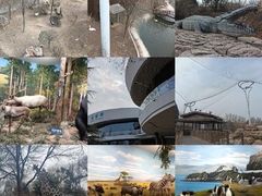 -太原动物园