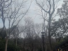 -西湖游船