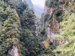 -苍山感通索道
