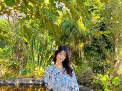 -世界恐龙谷景区