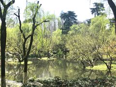 -柳浪闻莺公园