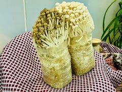 -烹然四季椰子鸡火锅(团结湖总店)