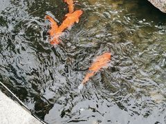 -前童古镇
