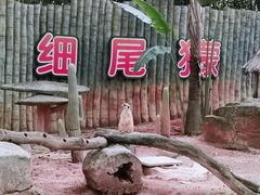 -深圳野生动物园