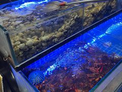 -杨氏龙虾(金陵名府店)