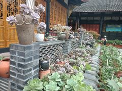 -古大圣慈寺