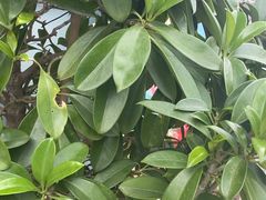 -昆明市金殿名胜区