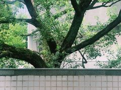 -湖北美术学院(昙华林校区)