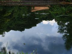 -云溪植物园